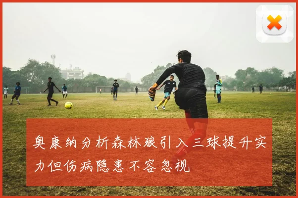 奥康纳分析森林狼引入三球提升实力但伤病隐患不容忽视